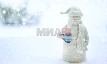 Германска  традиција за време на карневал: Највисокиот снешко досега