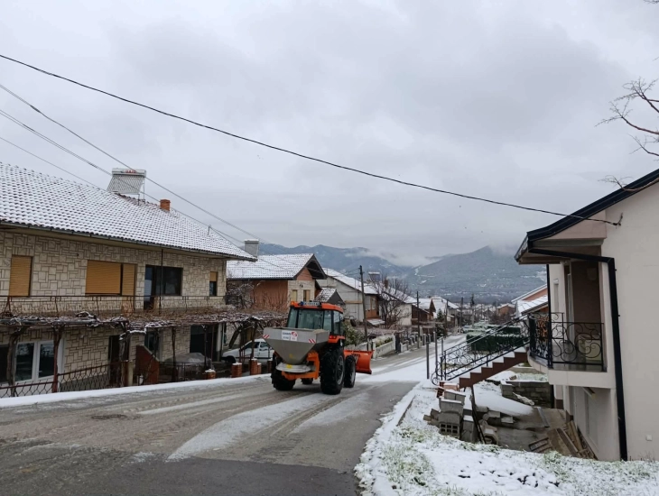 Димитриева: Се работи континуирано со цел обезбедување безбедна и непречена проодност за сите граѓани