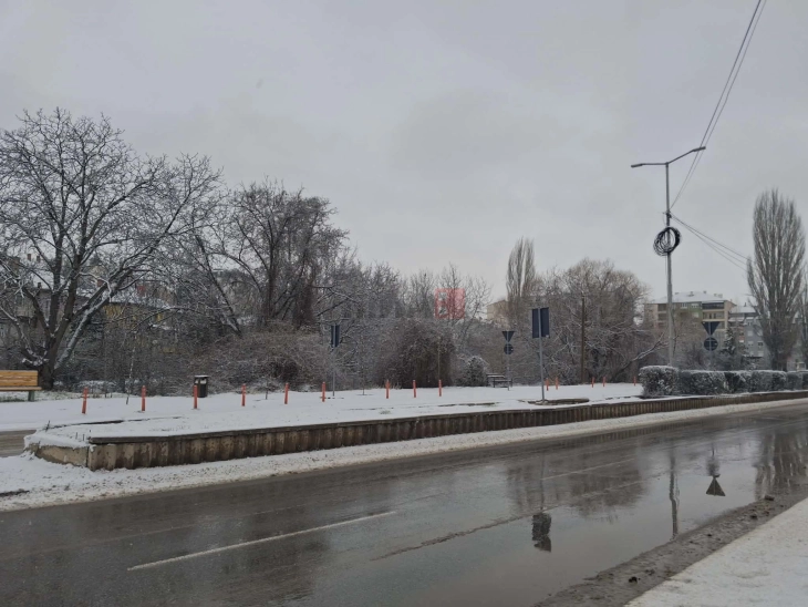 Исчитени од снег над 80 проценти од улиците и патиштата во кумановско