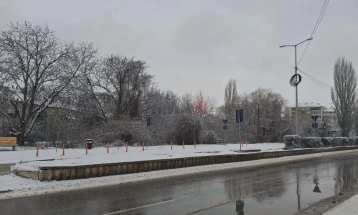 Исчитени од снег над 80 проценти од улиците и патиштата во кумановско