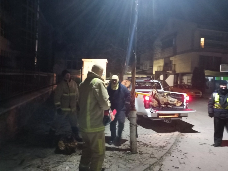 Силниот ветер во Дебар создаде повеќе проблеми 