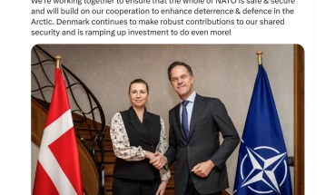 Руте: НАТО соработува со Данска за зајакнување на безбедноста на Арктикот