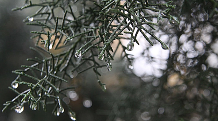 Mot i ndryshueshëm me shi dhe borë, reshje më të dendura priten të hënën