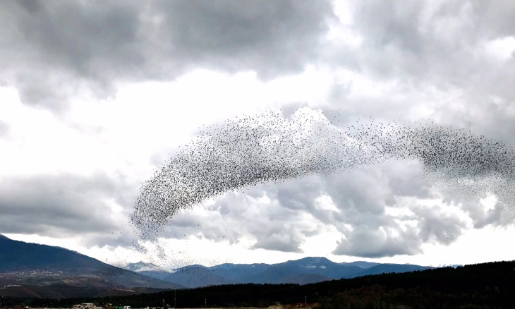Утринска магла, а потоа повремен дожд и снег