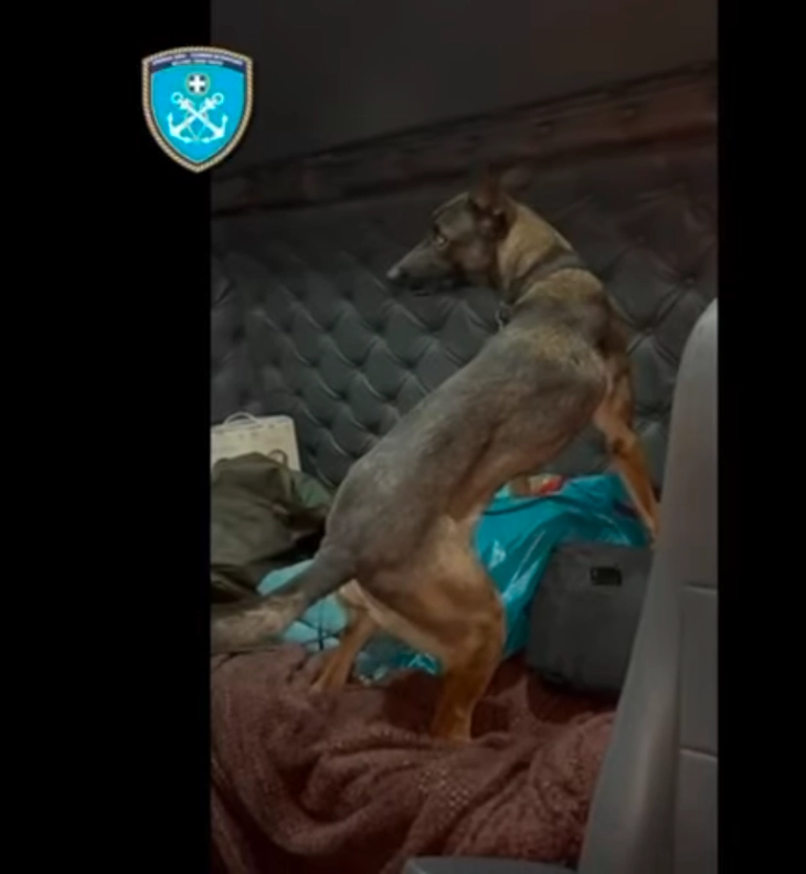 Куче-душкач открило дрога во вредност од 1,7 милиони евра на пристаништето во грчкиот град Патра