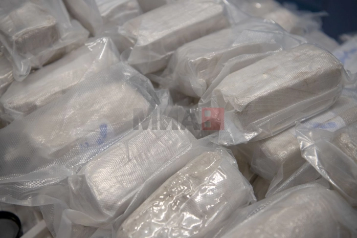 Германски цариници пронајдоа хероин во вредност од 32 милиони евра во пристаништето во Хамбург