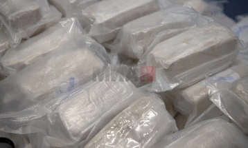 Германски цариници пронајдоа хероин во вредност од 32 милиони евра во пристаништето во Хамбург