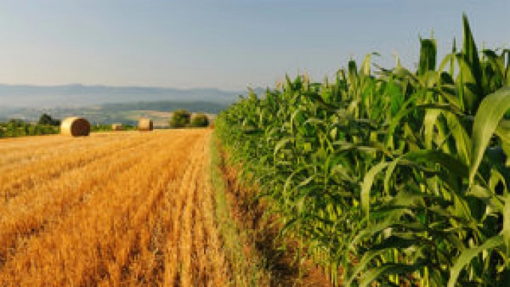 Србија ја менува аграрната политика - повеќе инвестиции, повеќе од државата