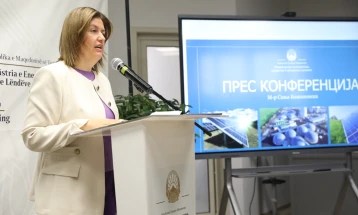 Усвоен годишниот план за изградба на енергетски проекти тежок 3,7 милијарди евра