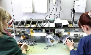 Ulet numri i të punësuarve në industri