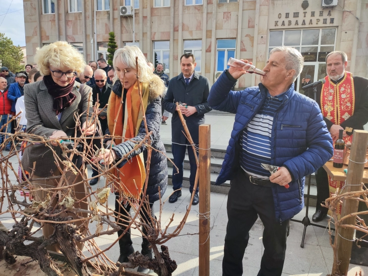 Четири општини од Тиквешко со подготовки за „Свети Трифун“, празникот заштитник на лозарите и винарите