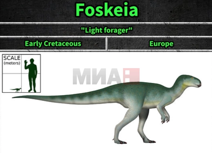 Мал диносаурус пронајден во Шпанија, научно „го пренапишува“ еволутивното дрво