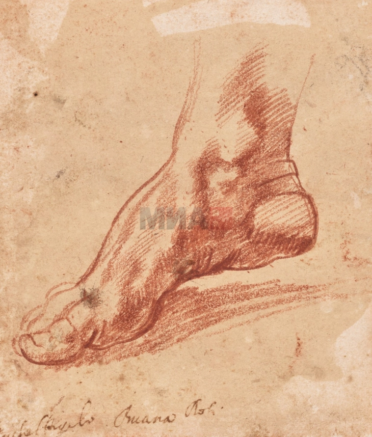 Цртеж на Микеланџело од пред 500 години, продаден за 27,2 милиони долари