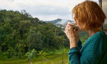 Hulumtim: Pirja e disa filxhanëve kafe ose çaj me kafeinë mund të ndihmojë për aftësitë mendore dhe parandalimin e demencës