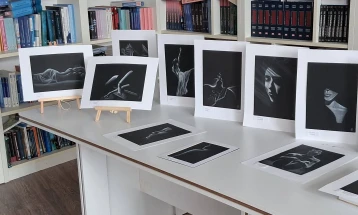 Изложба „Помеѓу сенката и силата“ од Марина Арсовска поставена во Делчево