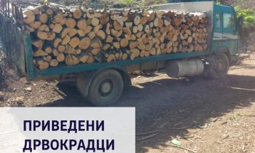 Кривична пријава против осум лица од Виница и виничко за кривични дела во врска со бесправна сеча и транспорт на огревно дрво