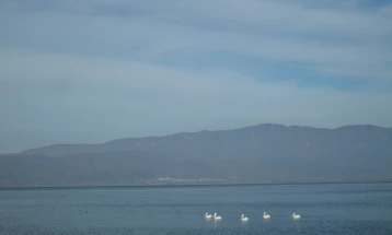 Лиски, галеби и корморани се најзастапените дојрански водни птици кои ја задржале бројноста низ последните пет години