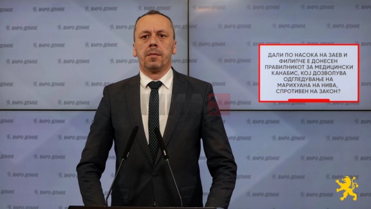 Петрушевски: Владата на СДСМ дозволила одгледување медицински канабис на отворено