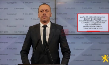 Петрушевски: Владата на СДСМ дозволила одгледување медицински канабис на отворено