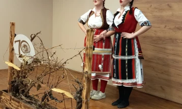 Земјоделското во Кавадарци постои 70 години, средношколците денеска го одбележаа празникот на лозарите и винарите