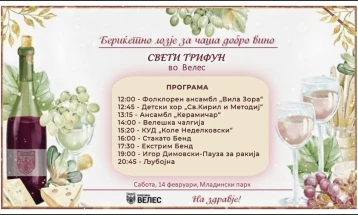 Целодневна програма за Свети Трифун во Велес