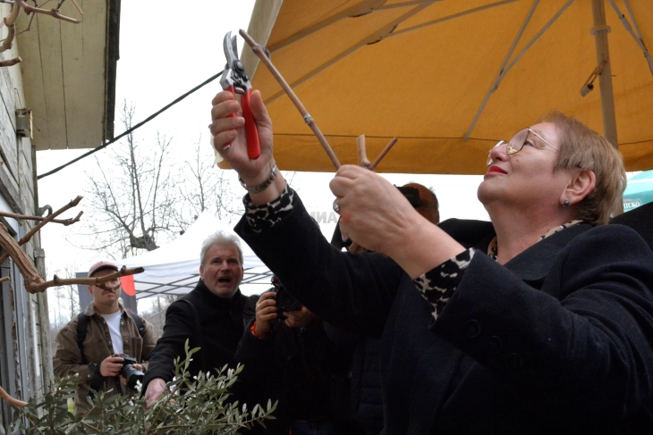 На ФЗНХ одбележан Свети Трифун со традиционално закројување на лозјата