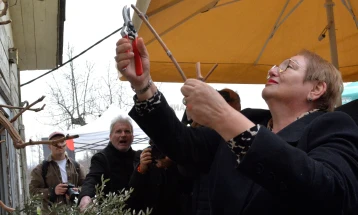 На ФЗНХ одбележан Свети Трифун со традиционално закројување на лозјата