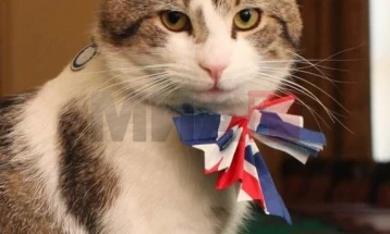 Мачорот Лери го слави својот 15. роденден на „Даунинг стрит“