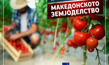 Се работи на документација за акредитирање нови ИПАРД мерки, 