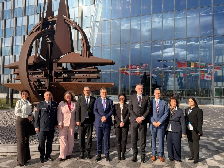 Parliamentary delegation attends NATO PA meetings in Brussels