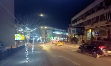 Искастрени крошните на дрвјата во централното подрачје на Велес