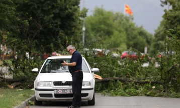 ЦУК: Паднато дрво оштети три возила и го попречи сообраќајот во Кисела Вода