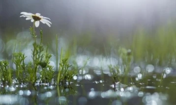 Reshje shiu në zonat e ulëta, borë në male