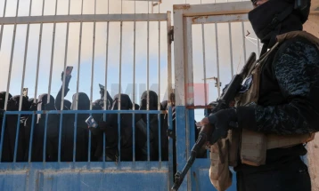 Околу дваесетина Германци меѓу борците на Исламската држава префрлени во Ирак