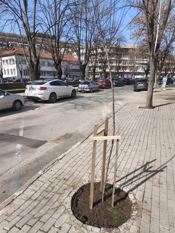 Општина Кочани продолжува со обновување на јавните зелени површини