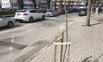 Општина Кочани продолжува со обновување на јавните зелени површини