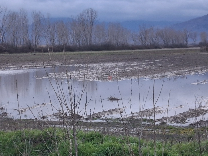 Земјоделски површини во дел од Пелагонија под вода