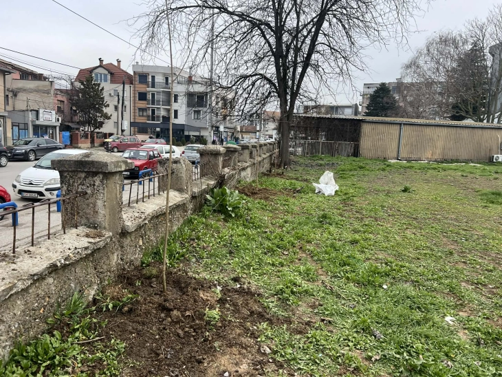 ЈП „Чистота и зеленило“ Куманово засади 25 садници јасен во дворот на болницата во Куманово