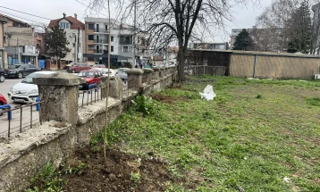 ЈП „Чистота и зеленило“ Куманово засади 25 садници јасен во дворот на болницата во Куманово