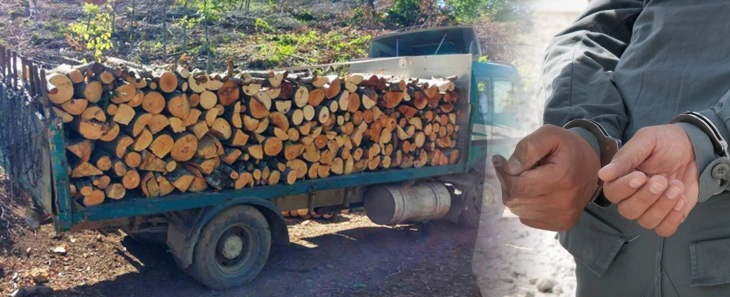 Кривична пријава против пет лица, со фалсификувана исправа организирале сеча и транспорт на дрвна маса од државни парцели