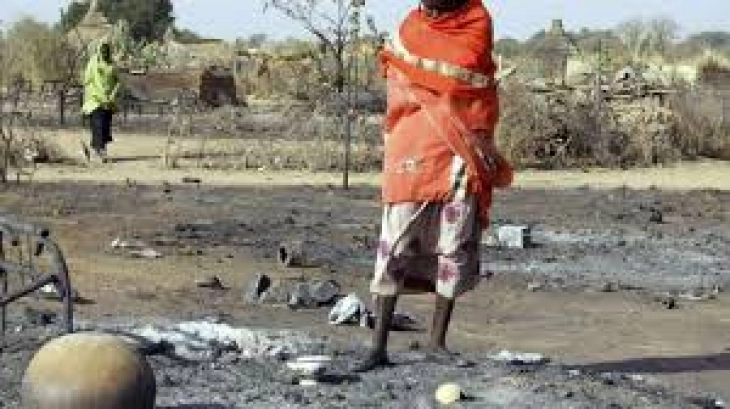 Суданските паравоени сили убија најмалку 28 лица во Дарфур