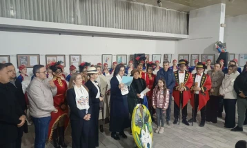 Доделени наградите од Главната вечер на Струмичкиот карневал