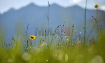 Mot me diell dhe i qëndrueshëm deri në fillim të javës së ardhshme, e mundshme mjegull në mëngjes në lugina