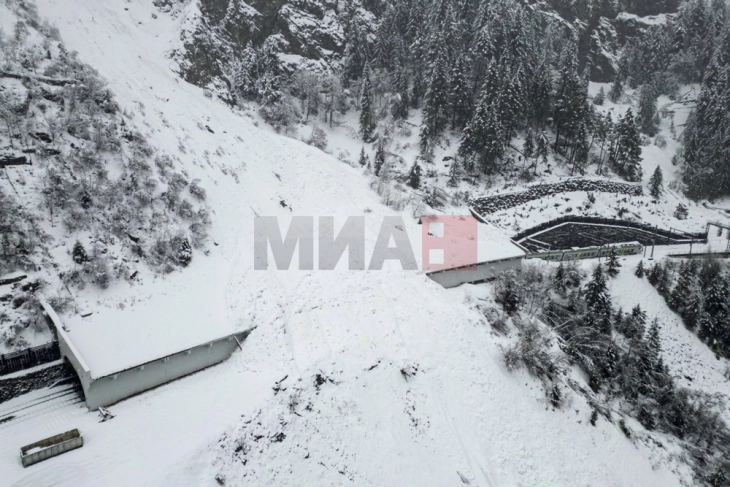 Австрија пријави 26 смртни случаи од лавини досега оваа сезона