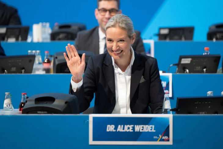 Управнот суд во Келн пресуди дека партијата АфД не може да се класифицира како „екстремистичка“