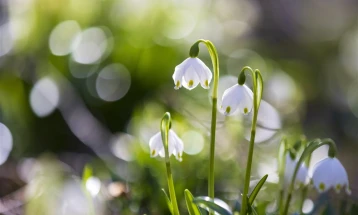 Weather: Sunny with few passing clouds