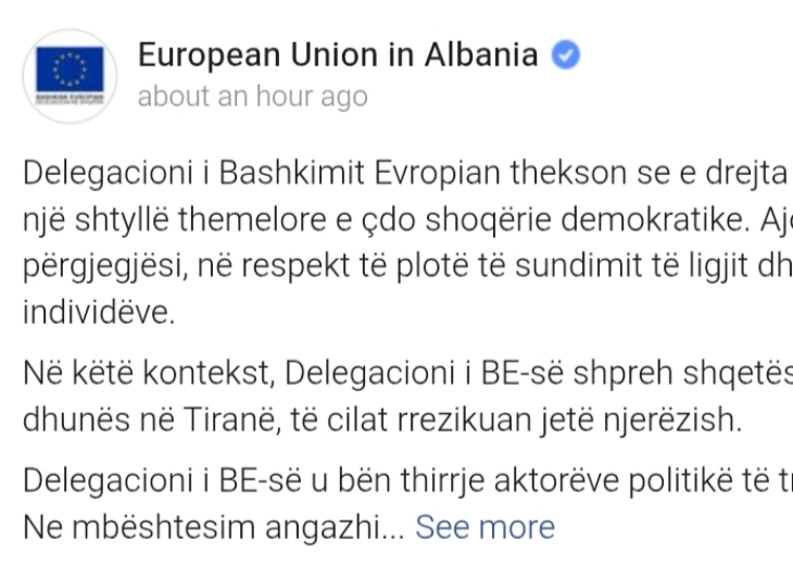 Делегација на ЕУ во Тирана: Загрижени сме од насилните акти и загрозувањето на животи, на протестите на опозицијата