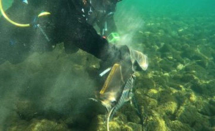 Акција за чистење на дното на Охридското Езеро