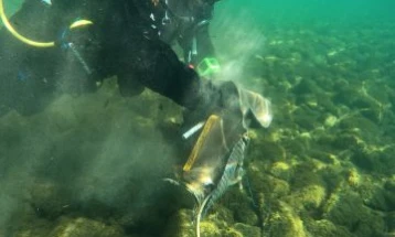 Акција за чистење на дното на Охридското Езеро