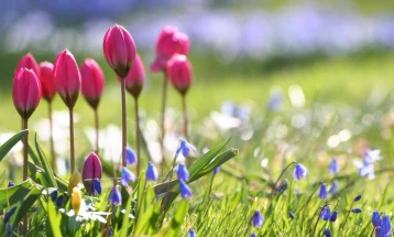 Сончево и свежо утро, максимална температура до 20 степени